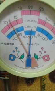 寒い日　爺チャリ号で町内巡回