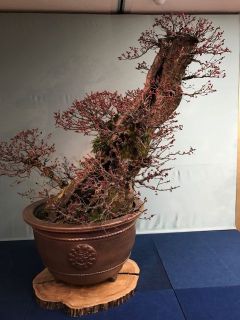 京都駅で偶然バッタリ