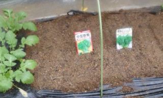 一人農業（種まき編）