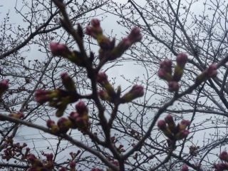 福ニイのカメラ教室