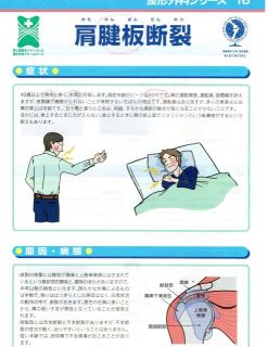 デーブのミニ野草講座　P2　＋α