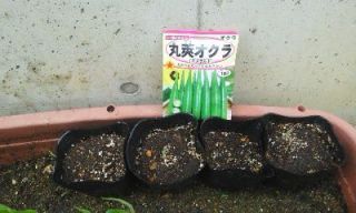 一人農業（種まき編）