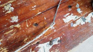 ハーバーに行ってきました