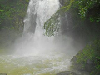 昨夜のトラフアンの心境