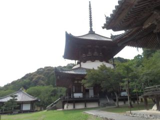 和歌山便り（粉河）