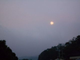 台風一過　（朝の月）