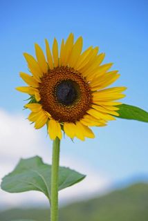 夏休みも残り少なくなってきました