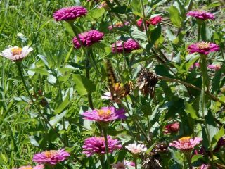 9月になりました