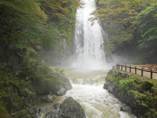 台風一過、少し暑いが晴れた日がええ