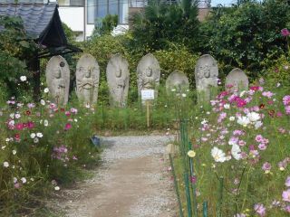 秋の奈良路　コスモス寺　ｐ3