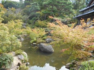 秋の奈良公園ぶらり