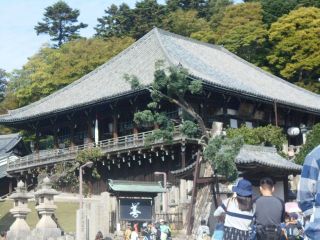 秋の奈良公園ぶらり