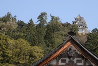 郡上八幡バスツアー