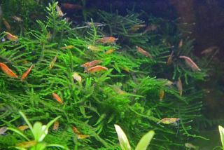 二日続きの悪天