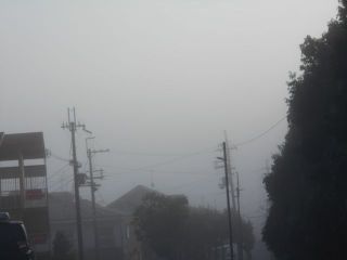 霧の朝