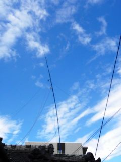 台風被害がでました