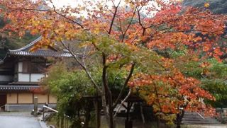 今日も雨だった