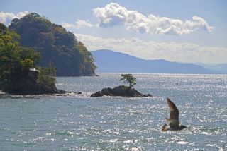 京都府伊根湾周遊