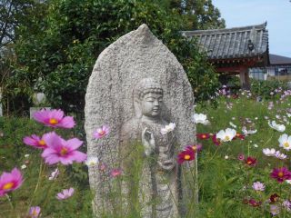 秋の大和路　バージョンアップ