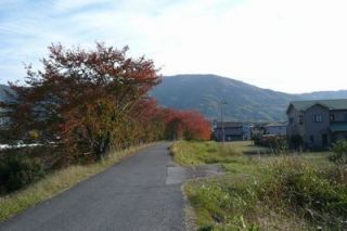 立冬も過ぎ益々紅葉も進んで来ました。