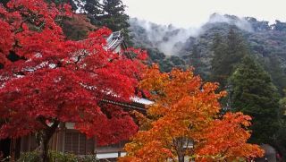 雨上がりの午後