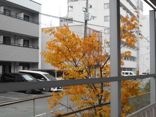 平城京とススキ