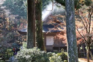 40年ぶりの三千院へ