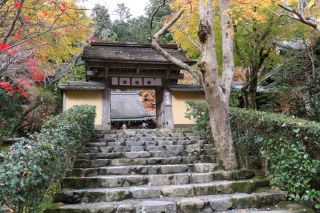 寂光院から曼殊院へ