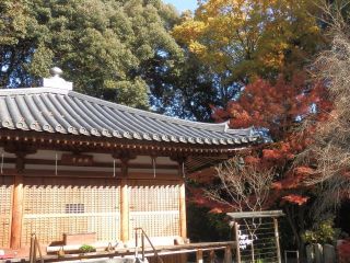 竹林寺の紅葉