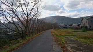 散歩ルート定点カメラ