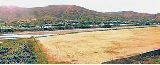 ごろちゃんの画