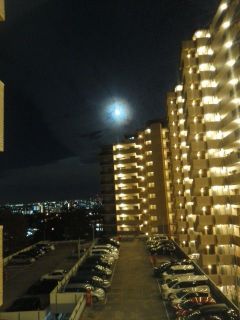 おっ月さんこんばんわ