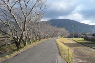 午後からの散歩