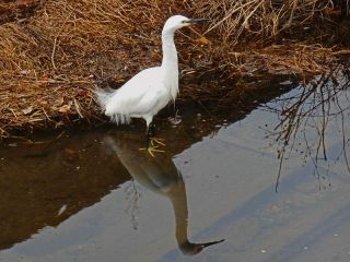 どうぞよいお年を