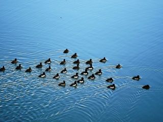 夕方に近所をぶらり…