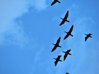 昨日の夕方近所をぶらり…