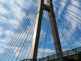 今日の散歩道から…