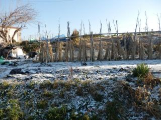 生駒　竜田川雪化粧　　　　　出舞