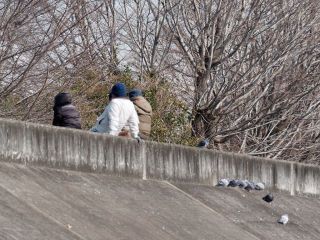 今日の散歩道から…　　暇～人