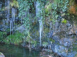 今朝も冷え込んだ