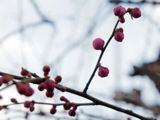 今日は一日いい天気でした　暇～人