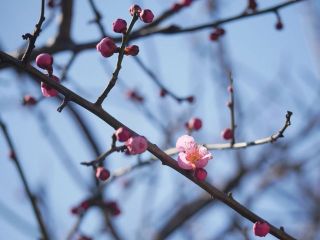 今日の散歩道から…　　暇～人