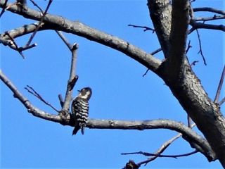 朝の散策で大発見　　　　　出舞