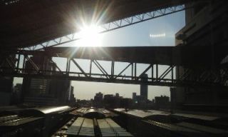 ムジナ達のつどい