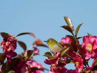 今日の散歩道から…　　暇～人