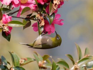 今日の散歩道から…　　暇～人