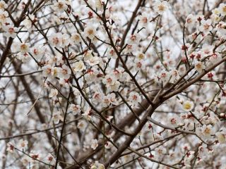 今日の散歩道から…　　暇～人