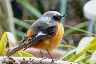 出舞さんへの贈り物