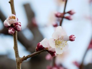 今日は夕方に散歩に行きました　　暇～人