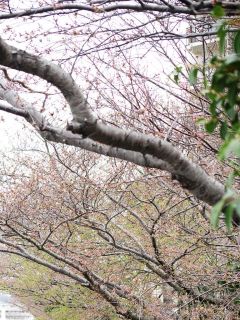 今日の散歩道から…　　暇～人